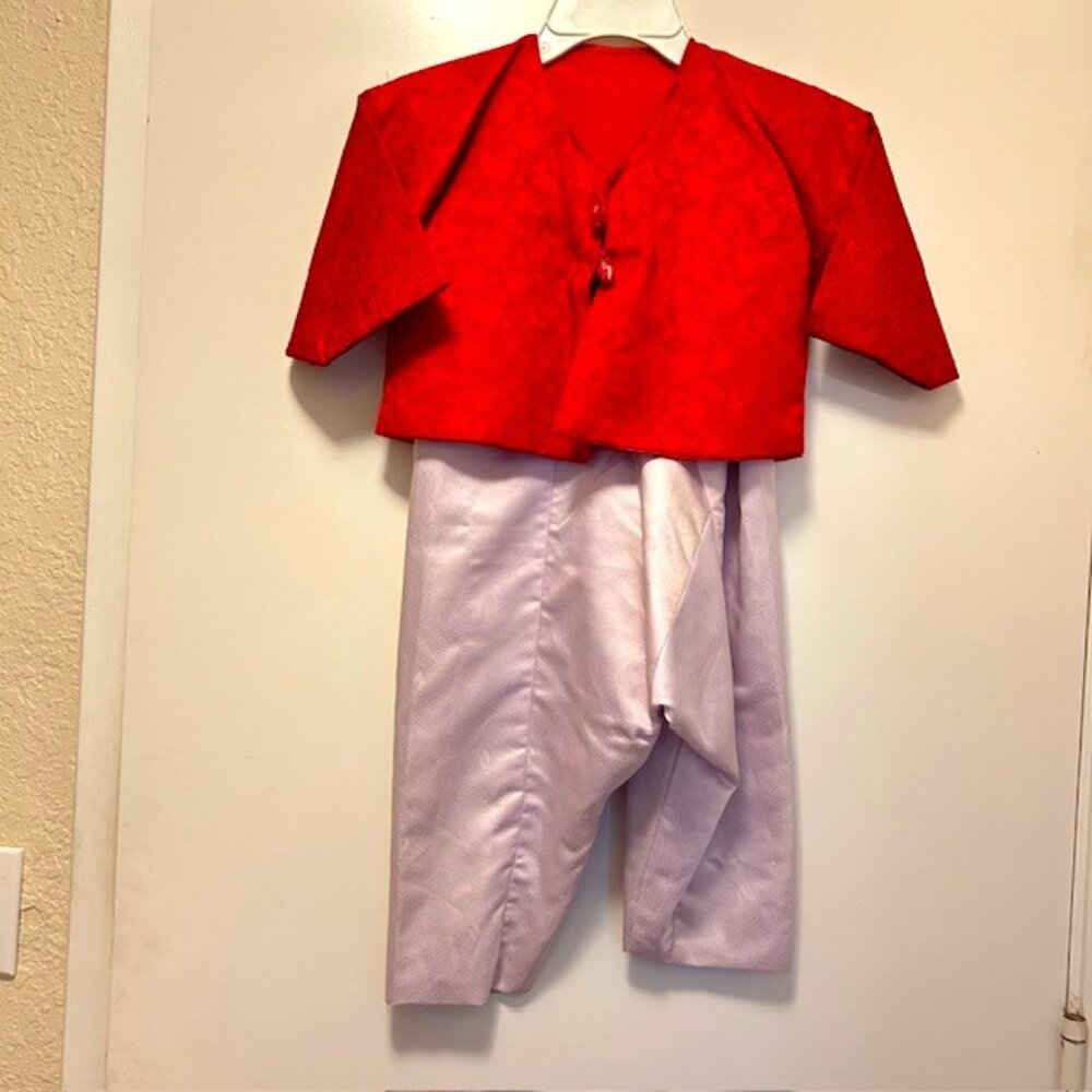 Toddler Korean Folk Outfit for Boy - Size 3T - Red and Violet - 2 Piece Set